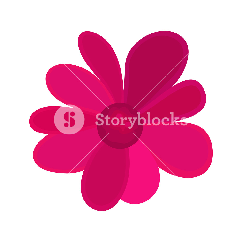 1000x997 Pink Flower Vector Design Royalty Free Stock Image