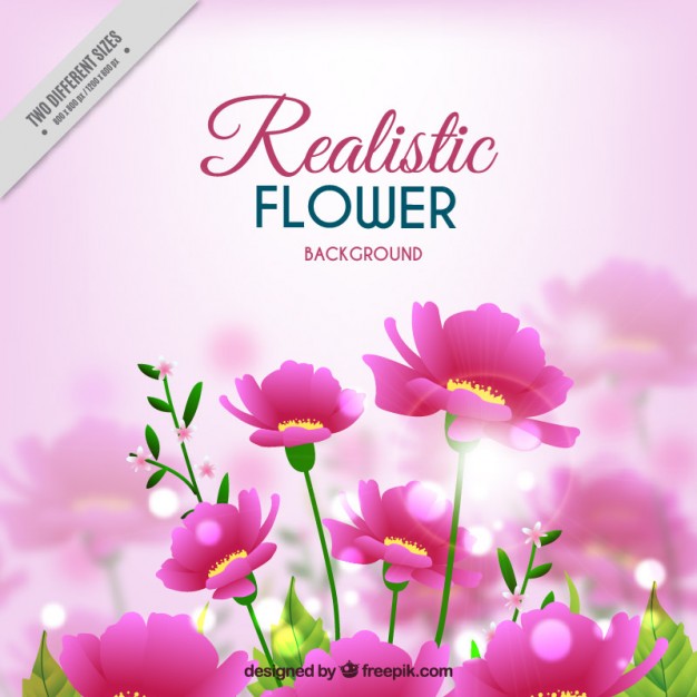 626x626 Pink Flower Vectors Free Vector Graphics Everypixel
