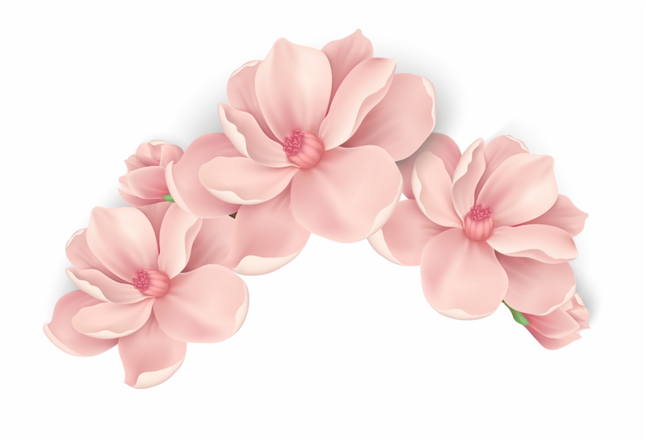 920x630 Pink Painted Flowers Vector Hand Png Free Photo Clipart