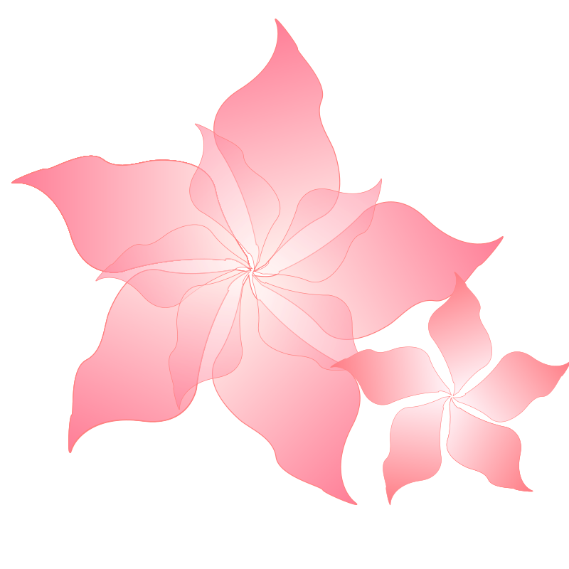 800x800 Pink Flower