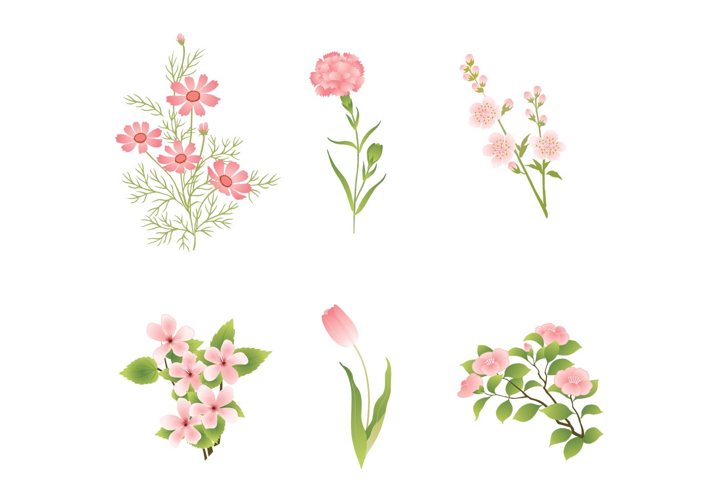 Pink Flower Vector At Vectorified Com Collection Of Pink Flower Vector Free For Personal Use