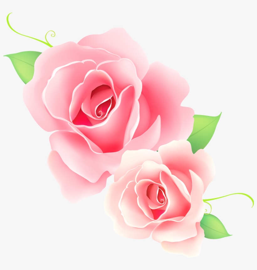 820x859 Pink Flower Png Vector
