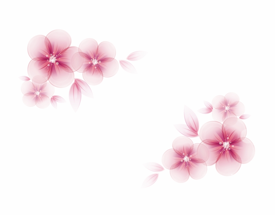 920x721 Pink Flower Vector