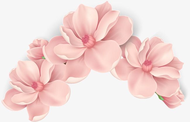 650x416 Vector Hand Painted Pink Flowers, Vector, Hand Painted, Blooming