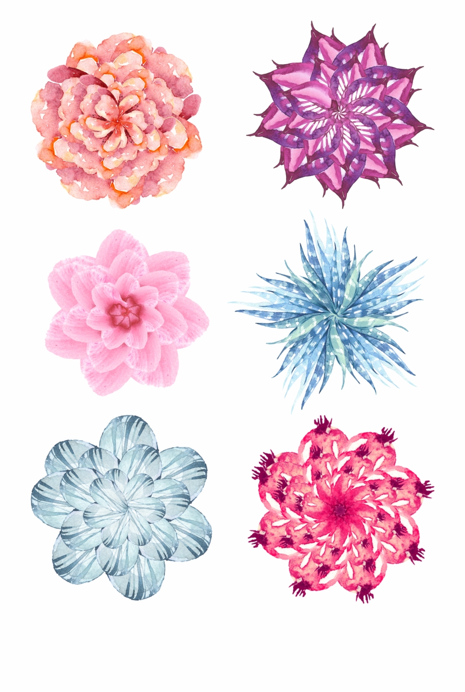 920x1369 Watercolor Flower Vector, Watercolor Fashion, Hd Picture