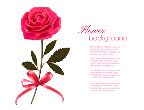 Pink Rose Beautiful Background Vectors Free Download 500x382 Pink Rose Beautiful Background Vectors Free Download