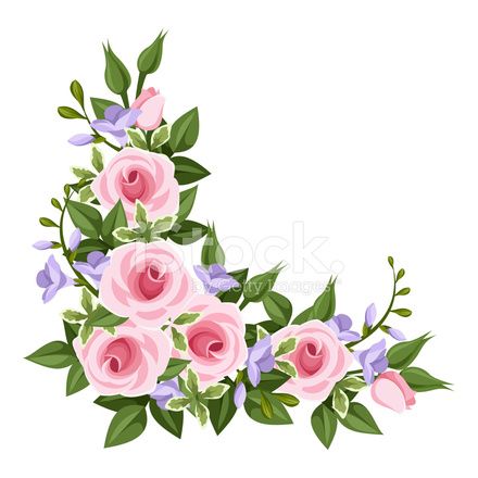 Pink Roses Corner Vector Illustration Flora Vector Flowers 440x440 Pink Roses Corner Vector Illustration Flora Vector Flowers
