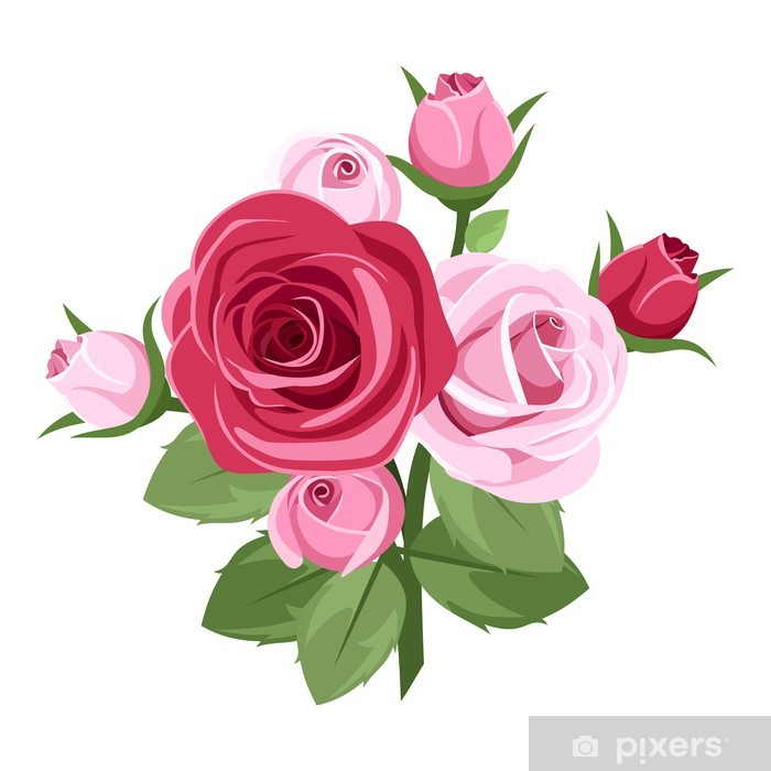 Red And Pink Roses Vector Illustration Sticker 700x700 Red And Pink Roses Vector Illustration Sticker