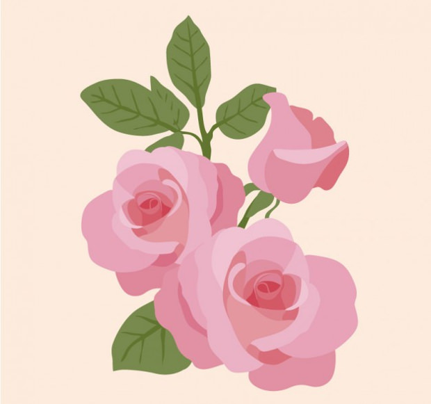 Rose Vectors 620x581 Rose Vectors