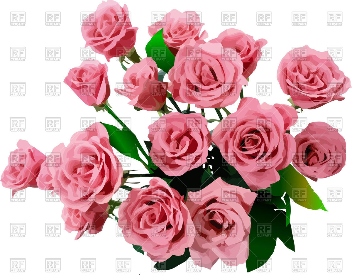 Bouquet Of Pink Roses Vector Image Of Plants And Animals Leonido 1200x937 Bouquet Of Pink Roses Vector Image Of Plants And Animals Leonido