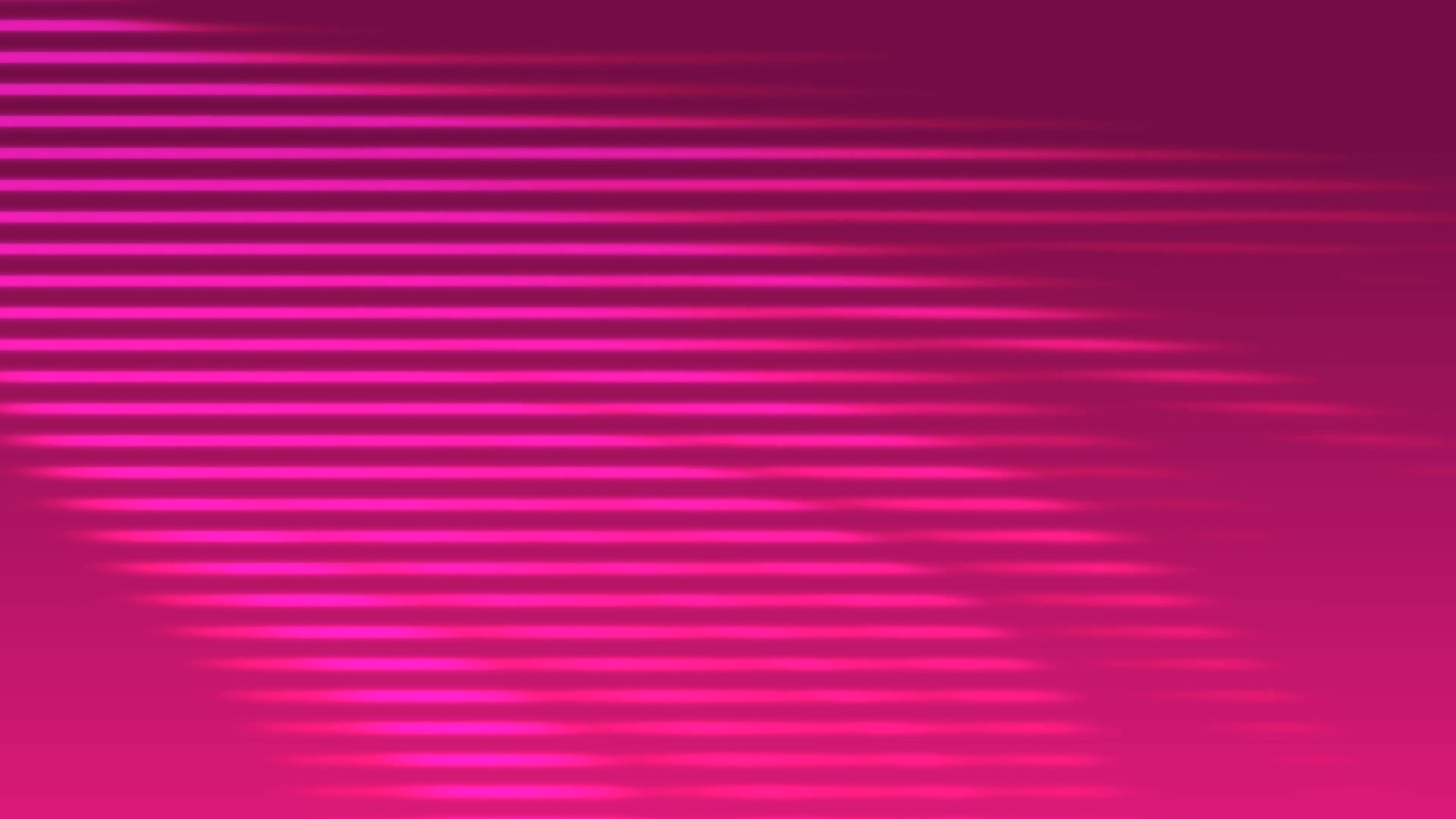3840x2160 Pink Horizontal Vector Lines Flow Down The Screen Creating