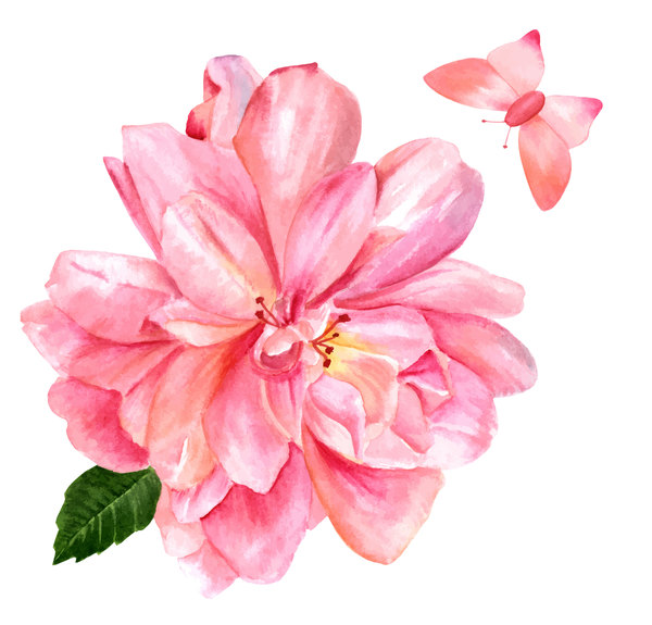 600x575 Pink Flower Watercolor Vector Free Download