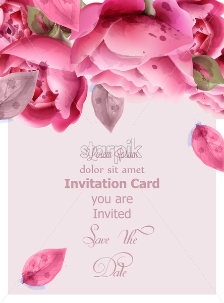 444x600 Pink Roses Watercolor Vector Invitation Card, Wedding Ceremony