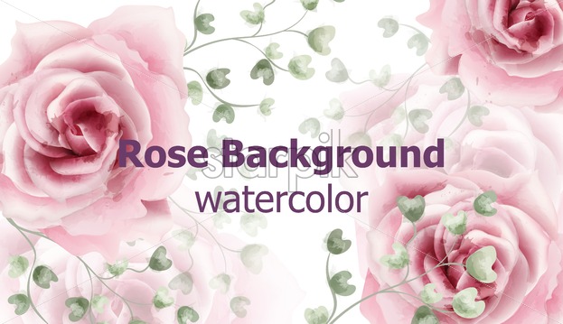 623x359 Rose Flowers Background Watercolor Vector Delicate Vintage Pastel