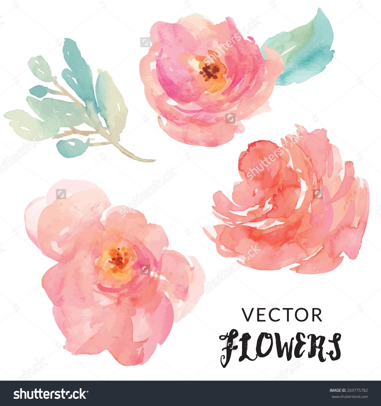 1500x1600 Hand Painted Watercolor Flower Vector Watercolor Vector Flowers