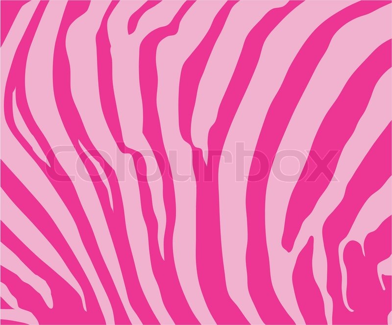 Pink Zebra Texture Skin Vector Stock Vector Colourbox 800x664 Pink Zebra Texture Skin Vector Stock Vector Colourbox