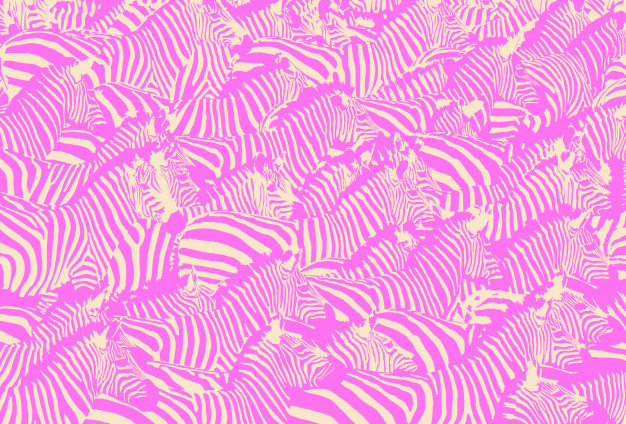 Pink Zebra Logo Vector at Vectorified.com | Collection of Pink Zebra ...