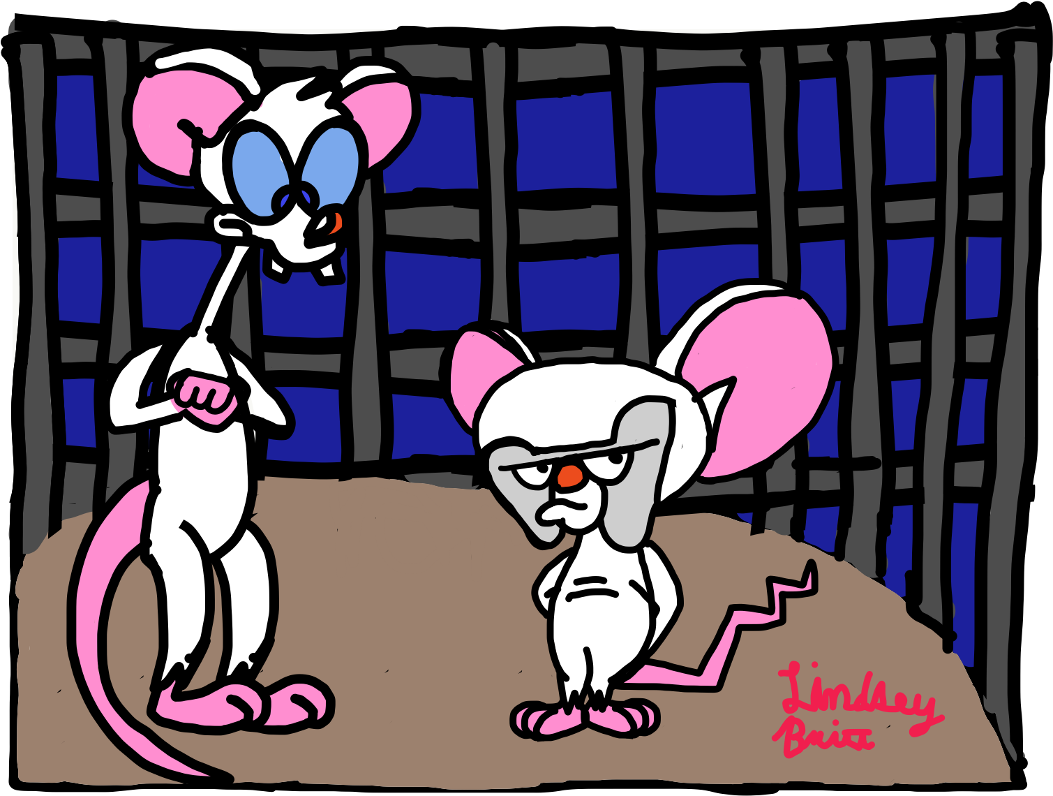 download pinky and the brain 2023