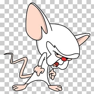310x308 Pinky And The Brain Png Images, Pinky And The Brain Clipart Free