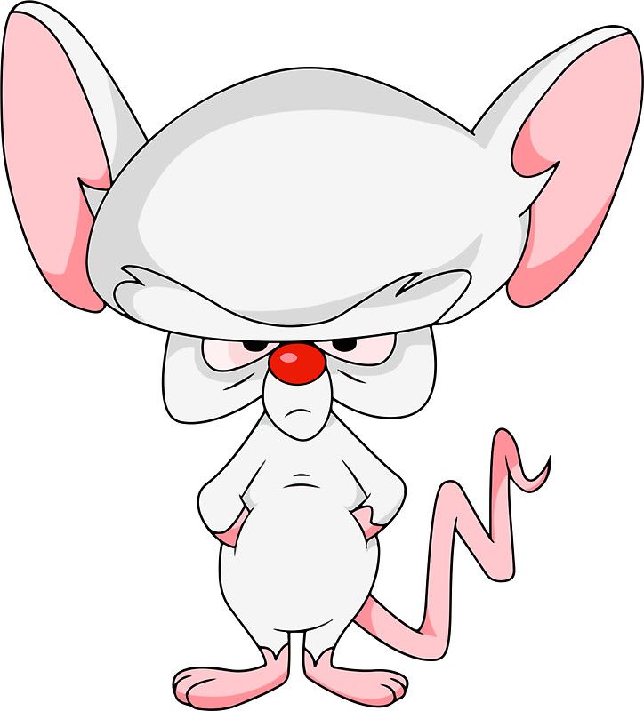 724x800 Pinky And The Brain