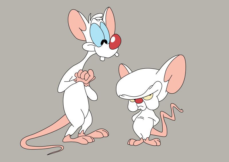 Pinky And The Brain Vector. 