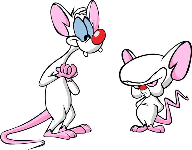615x479 Pinky And The Brain Clipart Clipart Portal