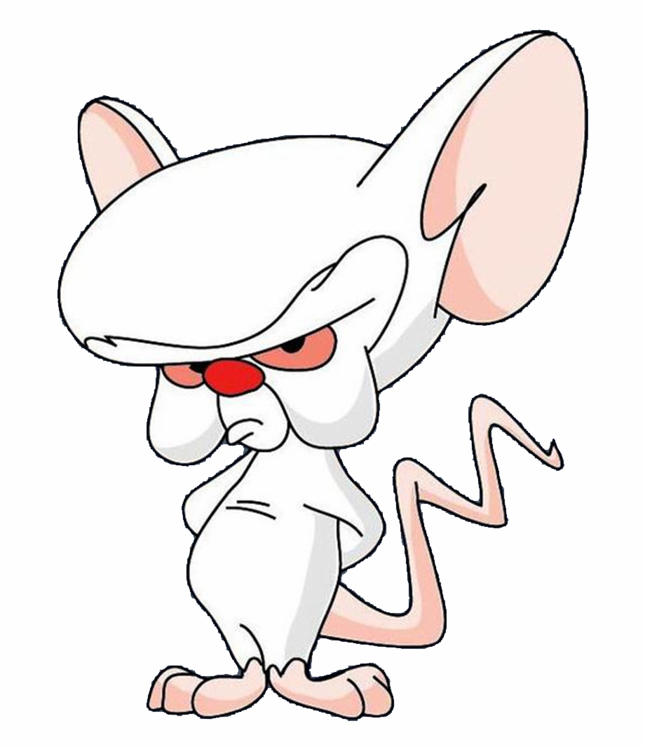 Pinky And The Brain Vector at Vectorified.com | Collection of Pinky And ...