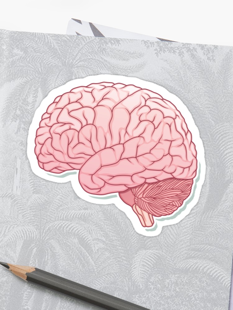 750x1000 Pinky Brain Sticker