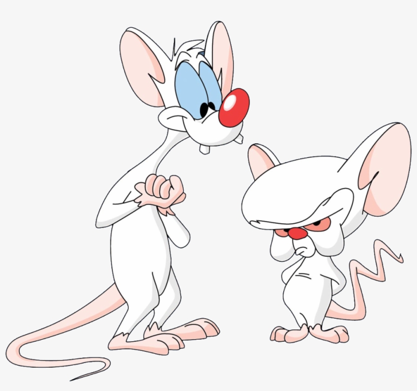 820x769 Download Free Png A Pinky And The Brain Characters Pinky