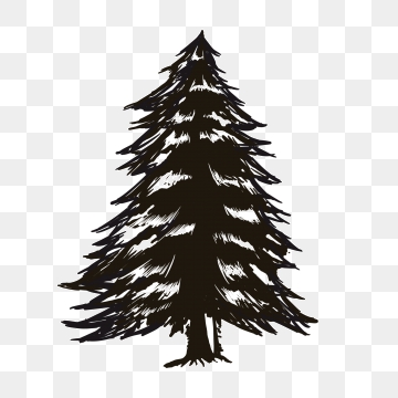 360x360 Pino Silueta Png, Vectores, E Clipart Para Descarga Gratuita