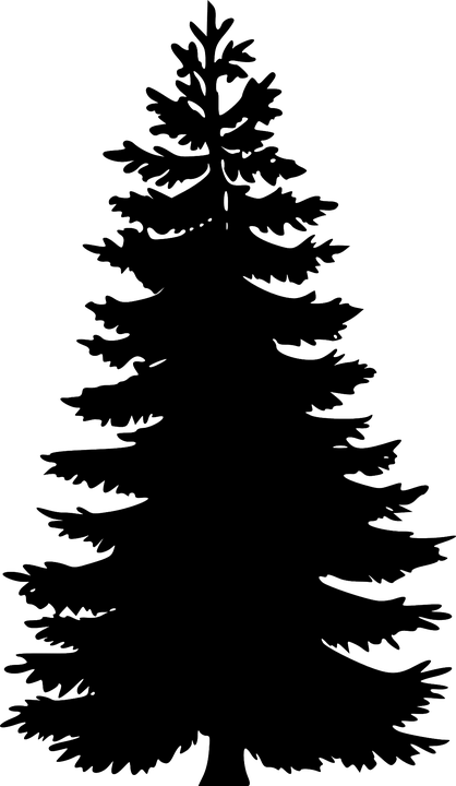 418x720 Pino Vector Png Vector, Clipart