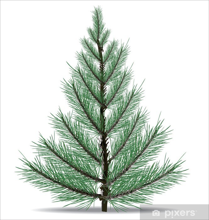 665x700 Vinilo Pixerstick Pino Vector