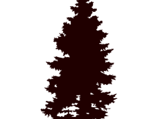 228x171 People Png Thousands Of Free Png, Clipart, Vectors Images