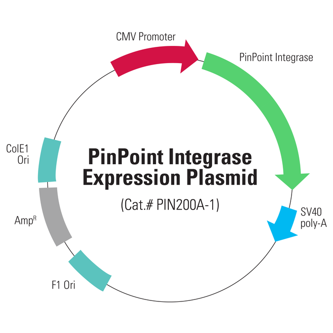 675x675 Pinpoint Integrase Expression Plasmid System Biosciences