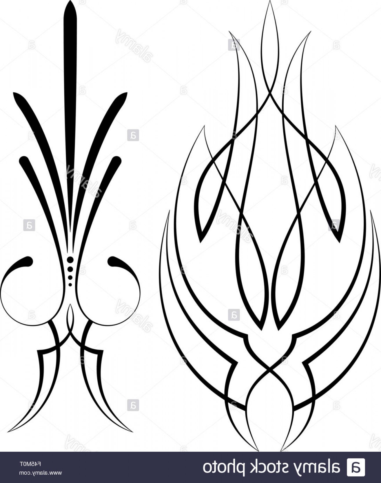 1315x1668 Stock Photo Pinstripe Graphics Vinyl Ready Vector Art Catchsplace