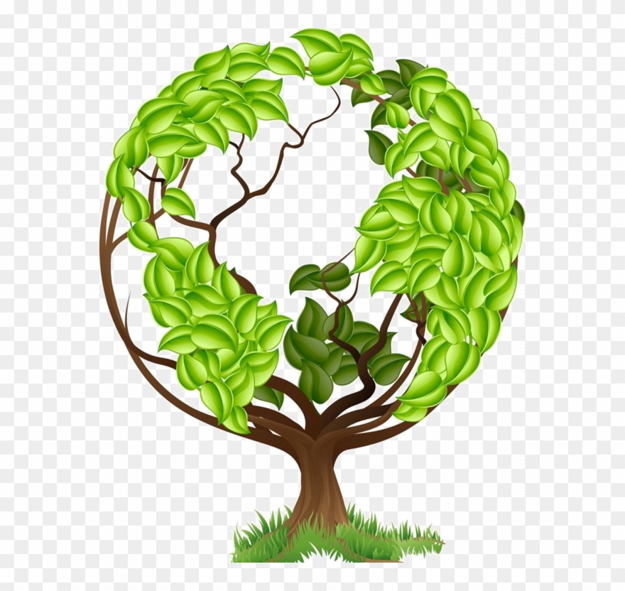 880x832 Arbre Png Mama