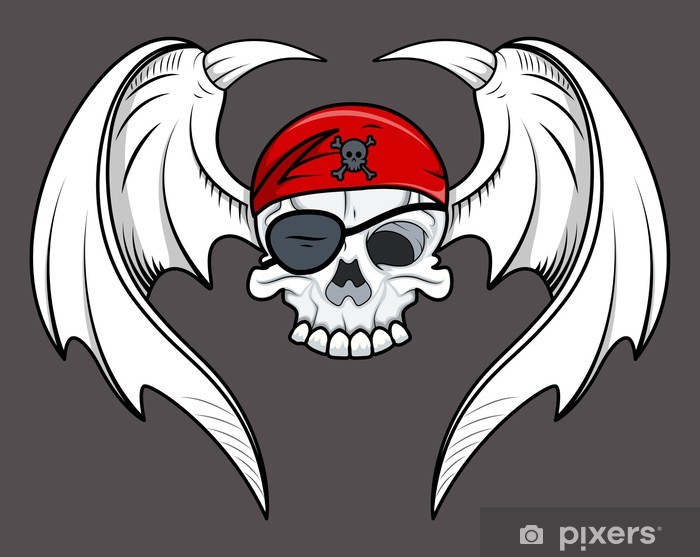 700x557 Flying Pirate Skull