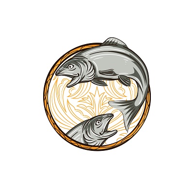 400x400 Zodiac Sign Pisces Vector Illustration Custom T Shirts Tshirt