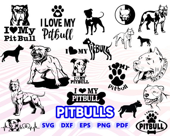 Pitbull Dog Vector At Vectorified.com 