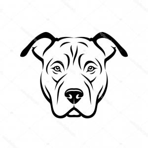 Images Of Pitbull Dog Vector Newwaysys 300x300 Images Of Pitbull Dog Vector Newwaysys