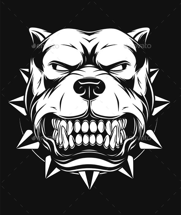 Vector Graphics Bulldog Drawing 590x700 Vector Graphics Bulldog Drawing