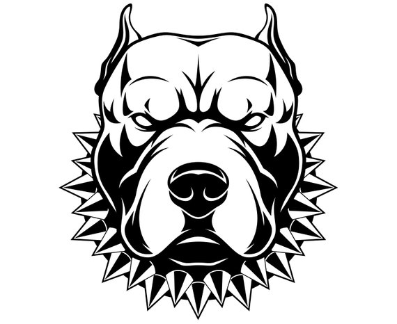 Pitbull, Pit Bull Terrier, Dog, Cartoon, Graphics,illustration 570x466 Pitbull, Pit Bull Terrier, Dog, Cartoon, Graphics,illustration