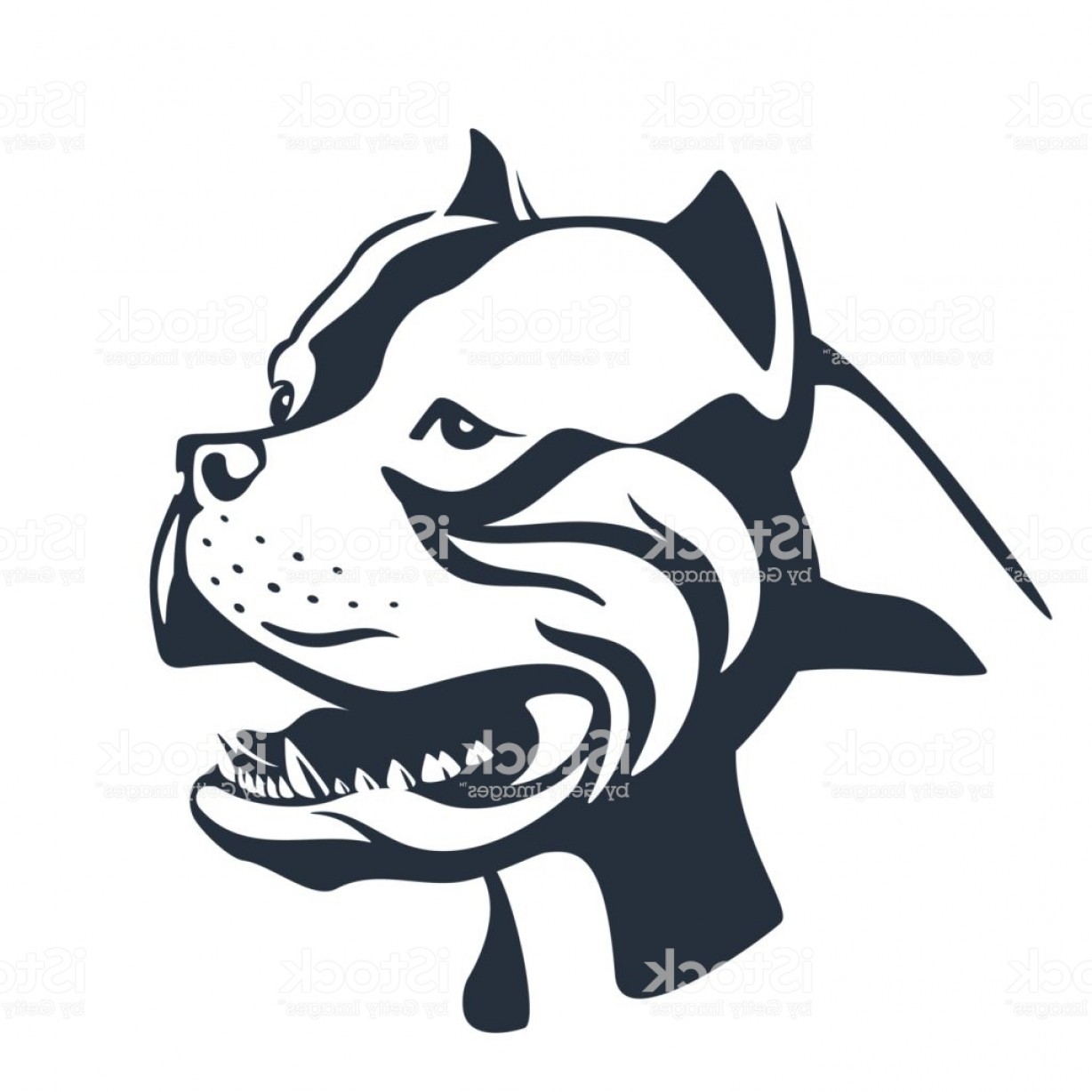 Pitbull Dog Sketch On White Gm Handandbeak 1228x1228 Pitbull Dog Sketch On White Gm Handandbeak