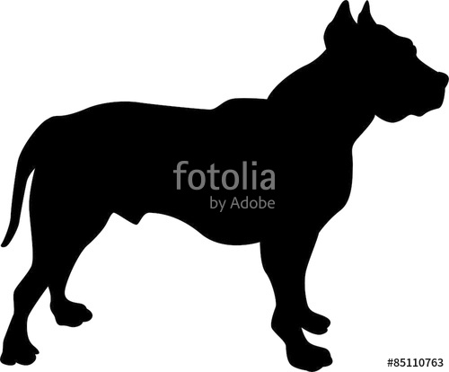 Pitbull Dog Silhouette Stock Image And Royalty Free Vector 500x414 Pitbull Dog Silhouette Stock Image And Royalty Free Vector