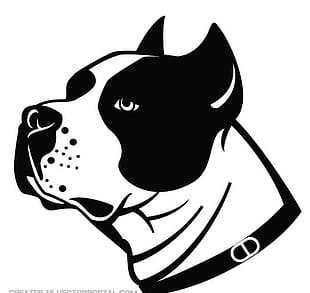 Pitbull Head Vector Free Graphics Uihere 310x293 Pitbull Head Vector Free Graphics Uihere