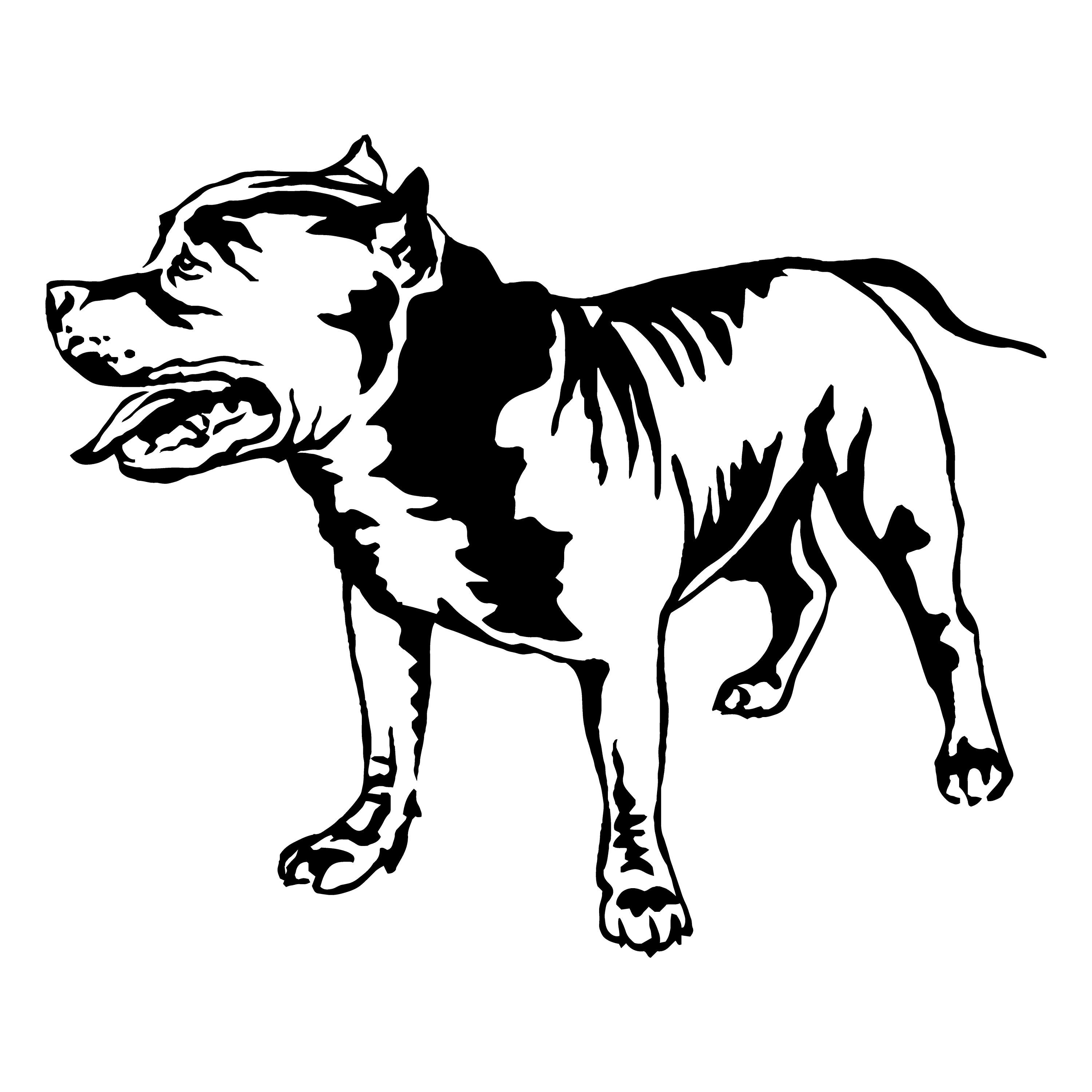 American Pit Bull Pitbull Bully Staffordshire Terrier Pit Etsy 3000x3000 American Pit Bull Pitbull Bully Staffordshire Terrier Pit Etsy