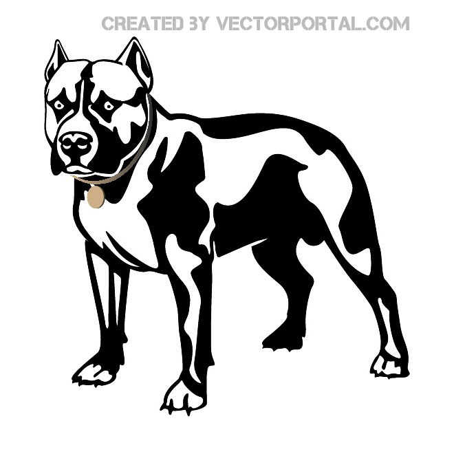 Dog Pitbull Free Vector 660x660 Dog Pitbull Free Vector