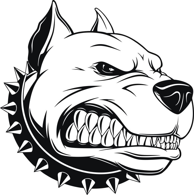 794x800 Pitbull Head Free Vector Cdr Free Download Vector Graphic Art