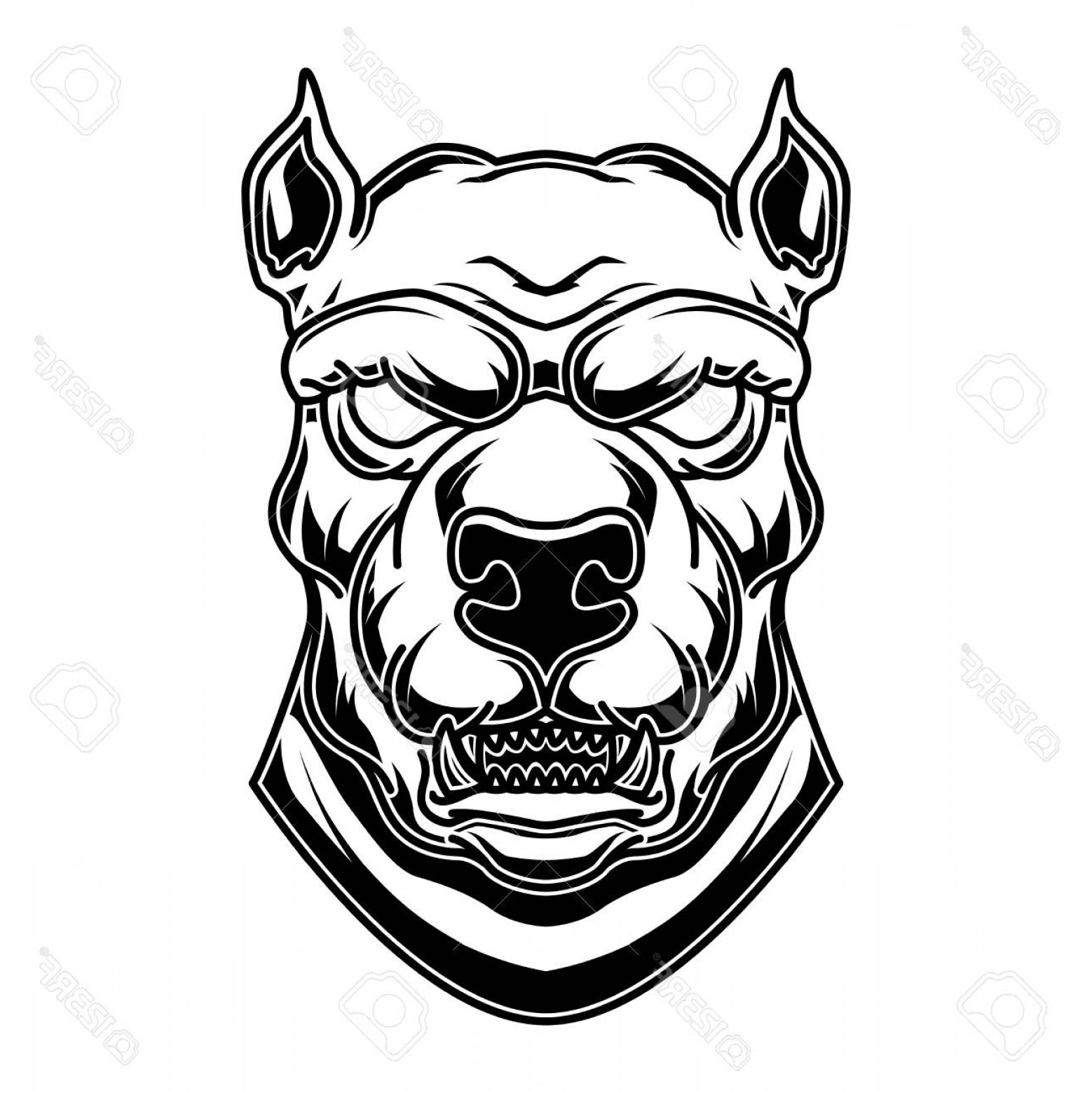 1558x1560 Pitbull Head Vector Catchsplace