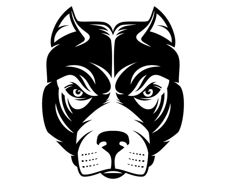 794x650 Pitbull Pit Bull Pit Bull Terrier Bull Terrier Etsy